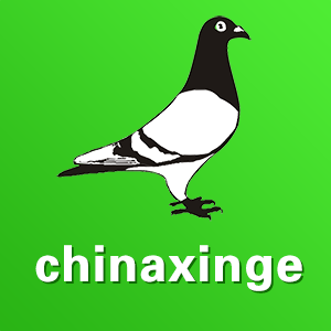 唐三彩 蓋物 世錦堂製 款 中国古玩 中国美術 唐物 擺件 唐三彩 蓋物 世錦堂製 款 中国古玩 中国美術 唐物 擺件 - メルカリ
